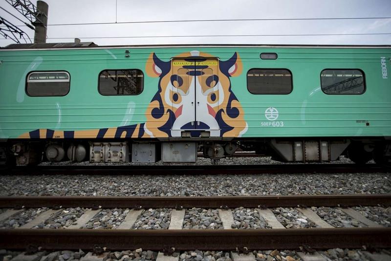 老虎陪你搭火車！六家線動物彩繪列車開跑。