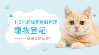 新竹縣貓奴注意！115年起貓隻強制辦理寵物登記違者將吃罰單