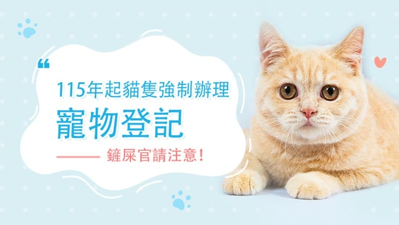 新竹縣貓奴注意！115年起貓隻強制辦理寵物登記違者將吃罰單